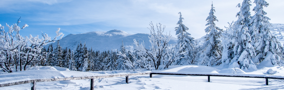 Unterwegs im Winterwunderland – drei Wintertouren für Groß und Klein